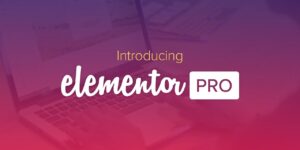 Elementor Pro VERSION 3.20.0